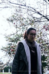 DSC_0347_2