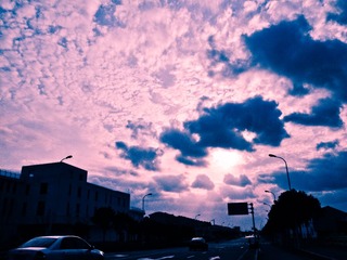 R0012538-2.jpg