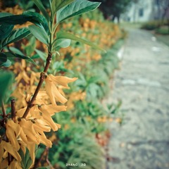 R0012927-3_副本.jpg