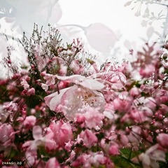 R0012944-3_副本.jpg
