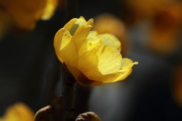 IMG_7220.JPG