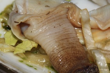 IMG_7446.JPG
