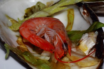 IMG_7453.JPG