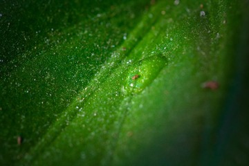 IMG_7232-1.jpg