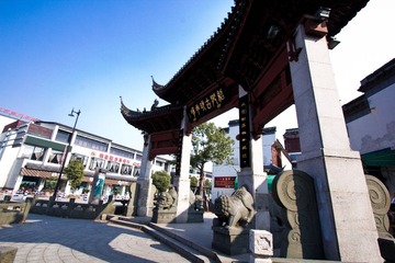 IMG_7761.jpg