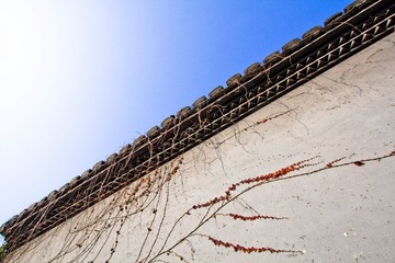 IMG_7819.jpg