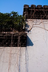 IMG_7823.jpg