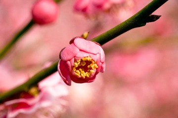 IMG_0102.jpg