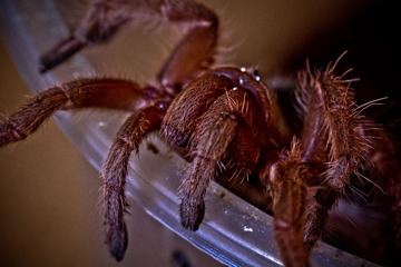 IMG_7922.jpg
