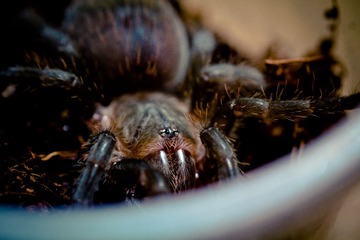 IMG_7928.jpg