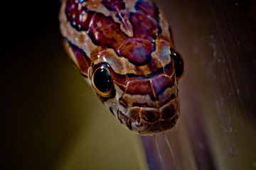 IMG_7966.jpg