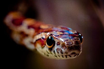 IMG_7967.jpg