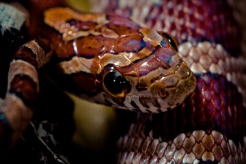 IMG_7975.jpg