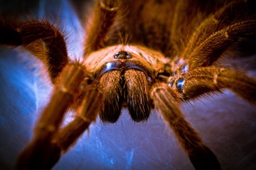 IMG_7991.jpg