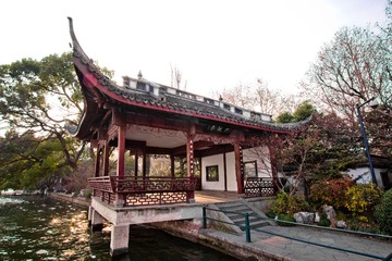 IMG_8177.jpg