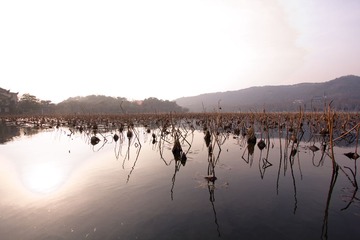 IMG_8184.jpg