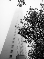 我在你身边，却无法看清。
