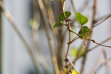 IMG_0575.jpg