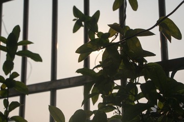 IMG_0604.jpg