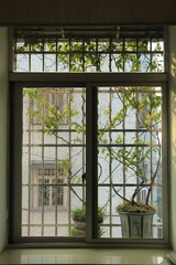 IMG_0613.jpg