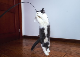 F03BD061-0DDD-43AB-9DF0-1543CD1F1584/L0/001