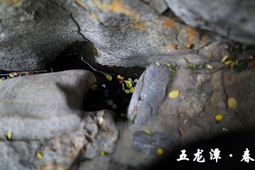 _P3A1788.jpg