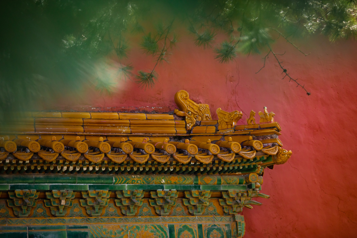 夏天是故宫 - 摄影师鬼微 - 图虫