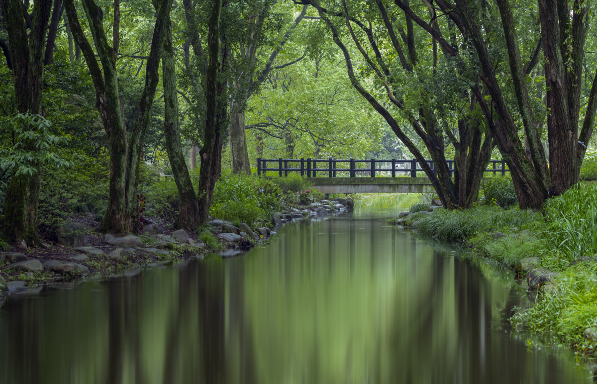 黄梅时节家家雨,青草池塘处处蛙