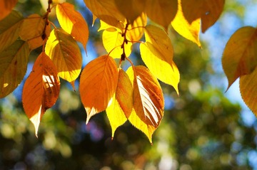 DSC09537_副本.jpg