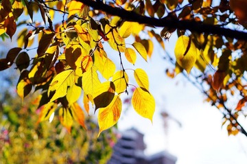DSC09538_副本.jpg