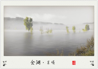 DSC04314_