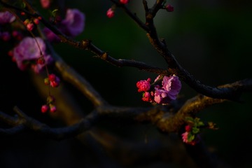 001
