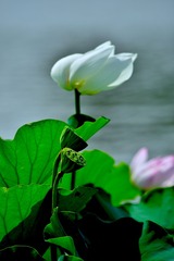 001