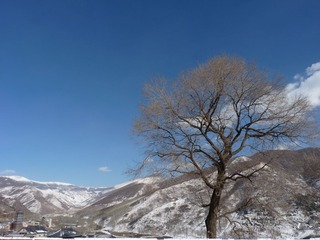 P1110257.JPG