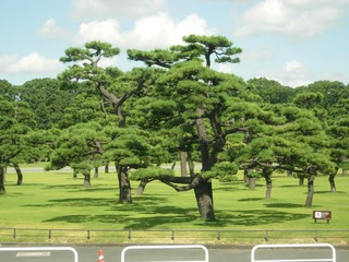 DSCN4103.JPG