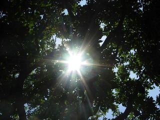 DSCN4118.JPG