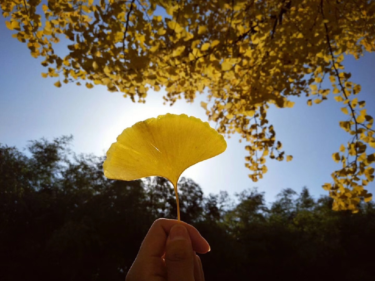 我再也没有对你生气!