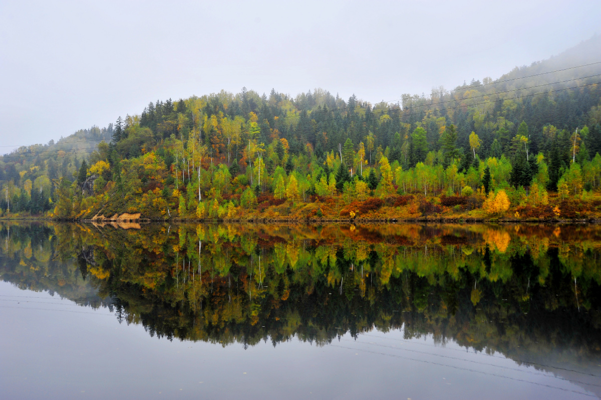 伊春林区风光美