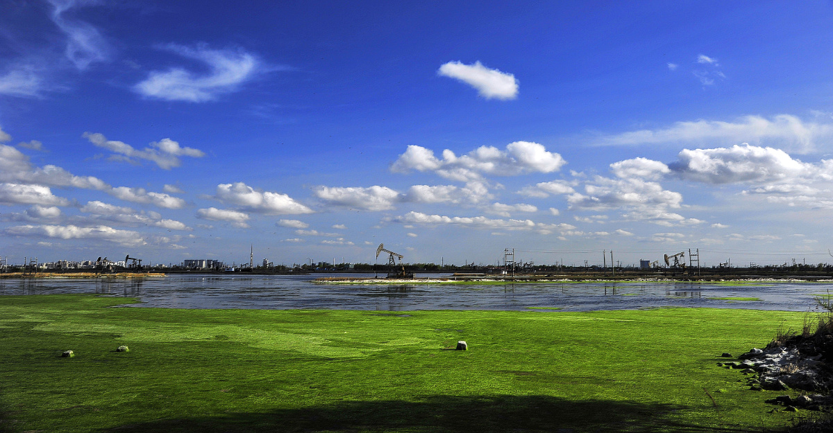 油城大庆市夏季风光