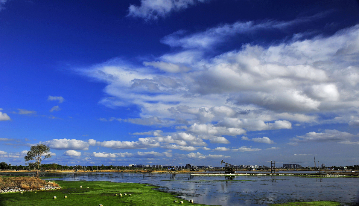 油城大庆市夏季风光
