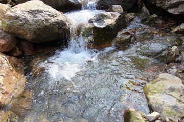 IMG_1780.JPG