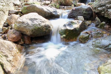 IMG_1781.JPG