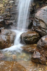 IMG_1786.JPG