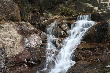 IMG_1813副本.JPG
