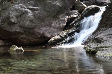IMG_1826.JPG