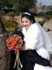 IMG_2559.jpg