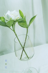 IMG_3508-编辑.jpg