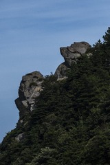 1262958