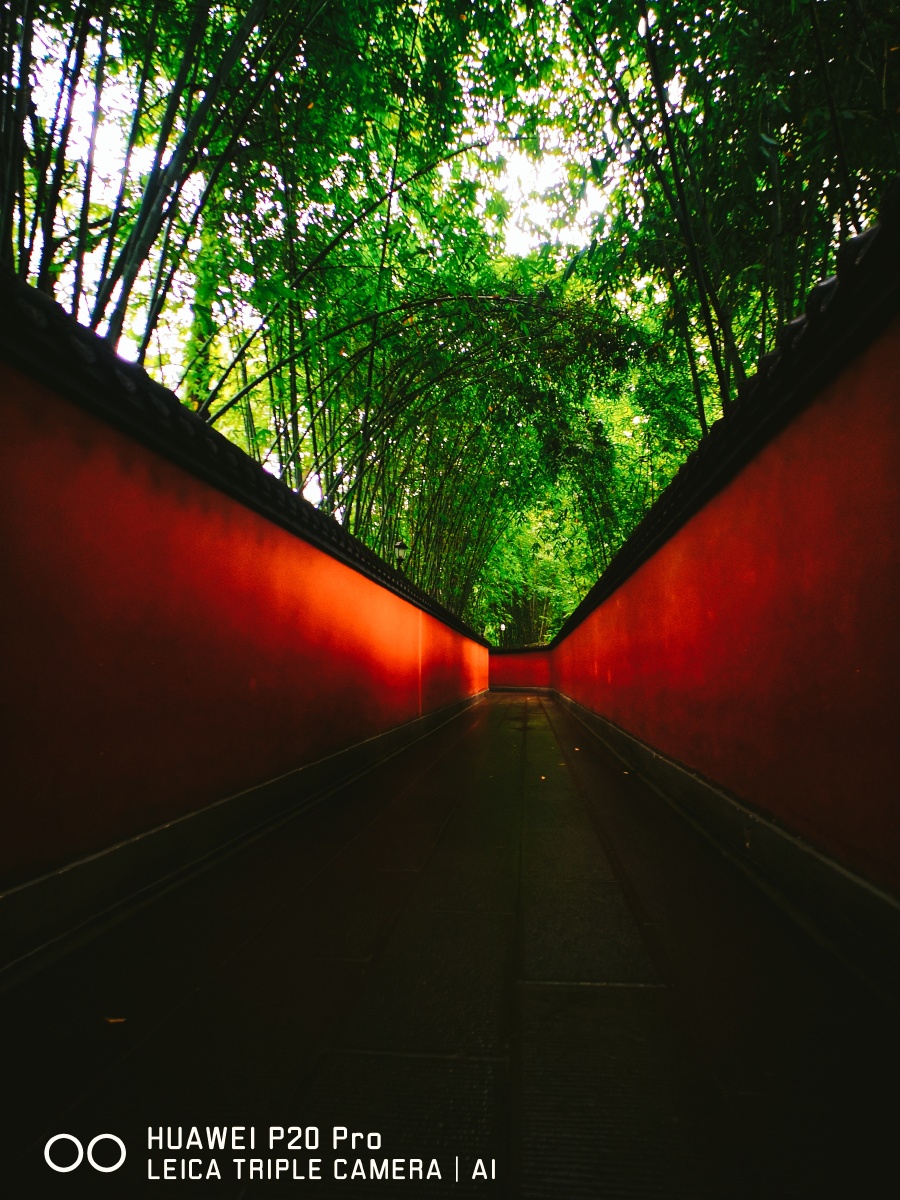 武侯祠的红墙竹影