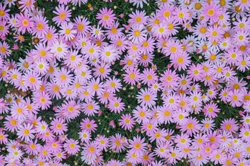 P1030007